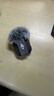 大疆（DJI） Mic Mini 迷你無(wú)線(xiàn)麥克風(fēng) 降噪領(lǐng)夾麥克風(fēng) 戶(hù)外采訪(fǎng)直播 vlog 手機相機微小型原聲級收音麥 【手機可用】一拖一 官方標配【適配安卓+蘋(píng)果15/16/17系列】 曬單實(shí)拍圖