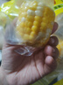 京地達云南水果玉米段 凈重4斤單果100g+ 低脂即食低脂甜玉米 源頭直發(fā) 曬單實(shí)拍圖