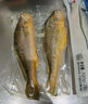 1號會(huì )員店（One's Member）【山姆同廠(chǎng)】冷凍寧德三去黃花魚(yú) 大黃魚(yú)700g/2條裝 生鮮水產(chǎn)魚(yú)類(lèi) 曬單實(shí)拍圖