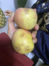 新疆阿克蘇冰糖心蘋(píng)果整箱脆甜多汁紅富士蘋(píng)果當季新鮮水果 【帶箱2斤】70-80mm【香甜多汁】 曬單實(shí)拍圖