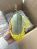 【脆甜可口】山東博洋甜瓜72號 新鮮水果 脆爽蜜瓜 壞果包賠 3斤嘗鮮【3-7個(gè)】 曬單實(shí)拍圖