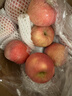 京鮮生 煙臺紅富士蘋(píng)果 凈重10斤 單果190g以上 禮盒裝 生鮮水果 曬單實(shí)拍圖