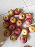 京覓四川大涼山丑蘋(píng)果 凈4.5斤 單果70mm+新鮮水果冰糖心蘋(píng)果源頭直發(fā) 曬單實(shí)拍圖