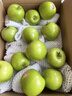 上海發(fā)貨新西蘭進(jìn)口青蘋(píng)果酸甜脆口肉嫩青蛇果孕媽新鮮水果當季 品質(zhì)大果（單果凈重170-190g） 【劃算】12顆 曬單實(shí)拍圖