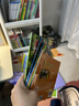 爆笑蟲(chóng)子拼音故事書(shū)套裝(6冊)基礎識字認讀啟蒙繪本 含實(shí)用的字表和益智游戲（3-8歲）    曬單實(shí)拍圖