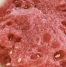 【無(wú)籽】美都無(wú)籽麒麟西瓜1粒 約4.6kg 曬單實(shí)拍圖