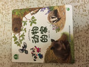 寶寶巴士 神奇的自然世界【全4冊】3-6歲科學(xué)啟蒙自然科普 動(dòng)物植物昆蟲(chóng)自然探秘 自然科學(xué)啟蒙 曬單實(shí)拍圖