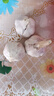 【特惠】精品山東金鄉紫白皮大蒜農戶(hù)產(chǎn)地直發(fā)蔬菜涼拌小龍蝦調料 網(wǎng)兜裝490g（4.5-5.5cm） 曬單實(shí)拍圖