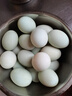 鴨蛋新鮮生鴨蛋土鴨蛋農家散養白皮青皮鴨蛋10枚整箱批發(fā) 60g-70g 曬單實(shí)拍圖