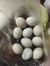 新鮮鮮雞蛋現撿現發(fā)谷物雞蛋初生蛋月子雞蛋40g左右早餐買(mǎi)菜 10枚 曬單實(shí)拍圖