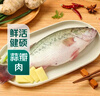 鮮活鱸魚(yú)550-650g/條 曬單實(shí)拍圖