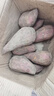 正宗精品沙地煙薯25號空氣炸鍋烤地瓜流油蜜薯秋冬烤薯煮粥必備 精品中大果（3兩-8兩） 9斤凈重 曬單實(shí)拍圖
