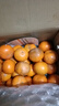 廣西武鳴沃柑新鮮當季水果大果桔子皇帝蜜橘砂糖柑橘整箱京東物流 帶箱9斤大果【新鮮采摘產(chǎn)地直發(fā)】 曬單實(shí)拍圖