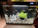森森金麟超白玻璃魚(yú)缸一體缸自循小型懶人家用水族箱LE-380 曬單實(shí)拍圖