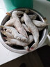 鮮馳 蝦 青島大蝦 基圍蝦鮮活青蝦白蝦海蝦對蝦冰蝦凍蝦生鮮 蝦類(lèi)海鮮 氣凍大蝦 3斤(凈重)  15-18cm【單只凍 特大蝦】 曬單實(shí)拍圖