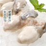 冰鮮生蠔肉200g(8-10粒） 曬單實(shí)拍圖