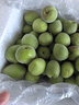 果優(yōu)港青梅鮮果福建詔安2026新鮮泡酒專(zhuān)用水果酵素當季高山梅子酸脆 青梅5斤順豐配送 曬單實(shí)拍圖