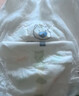 泰迪熊（Teddy Bear）探險家特薄拉拉褲3XL24片(17kg以上)嬰兒尿不濕超薄透氣 曬單實(shí)拍圖