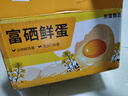 富硒鮮雞蛋30枚單枚50g左右產(chǎn)地直發(fā) 富硒鮮蛋30枚 曬單實(shí)拍圖
