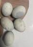 【初產(chǎn)蛋營(yíng)養高】新鮮無(wú)鉛皮蛋松花蛋咸鴨蛋零食特產(chǎn)美食年貨禮品 10枚裝（50-60克）中蛋試吃裝 曬單實(shí)拍圖
