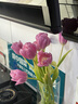 郁金香鮮花家庭生活鮮花云南直發(fā) 隨機色郁金香買(mǎi)10枝送10枝 曬單實(shí)拍圖