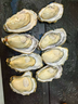 鮮活乳山生蠔新鮮牡蠣海蠣子5斤箱 6XL蠔王（12-18只每箱）凈重10斤生蠔 曬單實(shí)拍圖