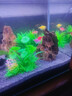 魚(yú)缸水草植物直接入缸假水草仿真高柔軟魚(yú)缸造景擺件整套成品裝飾 仿真塑料水草10款【隨機款式10款】 3-30cm組合景觀(guān) 曬單實(shí)拍圖