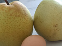 河北皇冠雪梨冰糖雪梨水果鴨梨玉露香梨 雪花梨帶箱2斤單果150g凈重1.5斤 曬單實(shí)拍圖