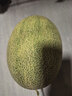 新疆西州蜜瓜1.6kg 曬單實(shí)拍圖