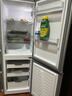 上菱183升兩門(mén)小型冰箱小戶(hù)型家用出租房用 出租屋辦公室宿舍雙門(mén)雙開(kāi)門(mén)電冰箱以舊換新BCD-183D 曬單實(shí)拍圖