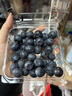 云南藍莓【JD快遞多地次日達】 新鮮水果年貨節送禮 單盒凈重90g+ 4盒裝 多買(mǎi)多劃算【90-115g/盒】 中果【單果15mm+】 曬單實(shí)拍圖