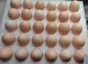 CP正大可生食鮮雞蛋30枚 3.36斤 達到可生食標準  禮盒裝 曬單實(shí)拍圖