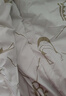 皇冠被子冬季秋冬加厚被芯抗菌棉被褥子單雙人宿舍6斤200x230cm6斤 曬單實(shí)拍圖