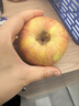龍多鮮新疆冰糖心蘋(píng)果 丑蘋(píng)果 新鮮富士應季水果 節日送禮推薦 整箱5斤精選果徑75-95MM凈4.5斤 曬單實(shí)拍圖
