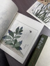 【正版現貨 順豐包郵】植物先生：二十四節氣植物研學(xué)課 五周年鈐印紀念版 一堂親子共讀的植物學(xué)科普課，弘揚中國傳統文化 植物先生系列（2冊） 曬單實(shí)拍圖