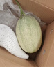 京鮮生 海南哈密瓜 西州蜜/西周蜜 1粒 單果2.5斤起 生鮮水果 曬單實(shí)拍圖