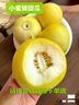 山東星甜20小蜜蜂蜜罐甜瓜產(chǎn)地直發(fā)非羊角蜜非玉菇冰激凌水果整箱 帶箱五斤【精選蜜罐甜瓜】單果250g+ 曬單實(shí)拍圖