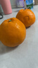 京鮮生 春見(jiàn)耙耙柑 凈重5斤 單果150g起 生鮮柑橘桔子水果禮盒 曬單實(shí)拍圖
