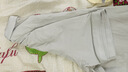 海瀾之家（HLA）短袖POLO衫男26新款山不在高系列大碼短袖男夏季 淺灰31 M 170/88A 推薦125~136斤 曬單實(shí)拍圖