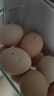 農家散養谷物土雞蛋50±5克/枚 30枚 曬單實(shí)拍圖