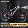飛鴿（FG FLYING PIGEON）兒童山地自行車(chē)9-16歲中大童變速碟剎車(chē)24寸銀適合身高140-175cm 曬單實(shí)拍圖