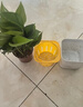 恰意綠蘿盆栽室內植物花卉家用新房?jì)艋諝饩G植水培好養大綠籮 清新迷你小綠蘿1盆+120方形豎紋儲水盆1套+肥 曬單實(shí)拍圖