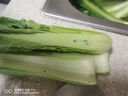 小白菜約250g 曬單實(shí)拍圖