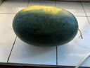 京鮮生 黑美人西瓜 1粒裝 凈重6-7斤 水果源頭直發(fā) 曬單實(shí)拍圖