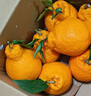 生活＆好管家 四川春見(jiàn)耙耙柑新鮮水果應季橘子現摘孕婦水果整箱桔子橘子 精品級商超果 8.5-9斤【單果90mm+】?jì)糁?斤 曬單實(shí)拍圖