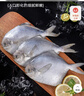 三都港 冷凍東海銀鯧魚(yú)450g/3條裝 平魚(yú) 深海魚(yú) 生鮮魚(yú)類(lèi) 燒烤食材 海鮮 曬單實(shí)拍圖