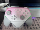 蓋世小雞（GAMESIR）超新星無(wú)線(xiàn)游戲手柄帶底座 適用switch2手機PC安卓Steam電腦NSpro電視體感藍牙粉色仁王3宏編程 曬單實(shí)拍圖