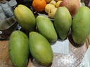 粵迎金煌芒芒果【閃送-多地次日達】當季廣西新鮮水果甜心大芒果整箱 5斤精選果【單果200g+】?jì)?.5斤 曬單實(shí)拍圖