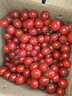 廣西露天圣女果櫻桃小番茄即食水果西紅柿新鮮蔬菜應季整箱批發(fā)價(jià) 帶箱5斤 4.5斤 凈重 曬單實(shí)拍圖