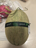 【產(chǎn)地直采】脆甜西州蜜瓜1粒約1.8kg 曬單實(shí)拍圖